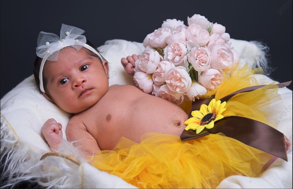Maternity Photos Xnip2025-09-15_13-11-30
